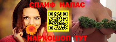 дмт Будённовск