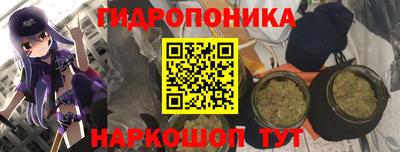 дмт Будённовск